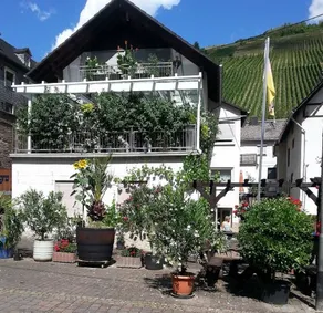 Hiking in the Middle Rhine - Image 4