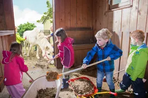 Moderno e di alta qualità attrezzato appartamento sole **** (80 mq) per un massimo di 4 persone con terrazza - agriturismo - Image 4