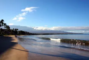 Fantastisk Ocean Front på Sugar Beach Resort # 519, for nylig renoveret, 1BDRM 1BA - Image 3