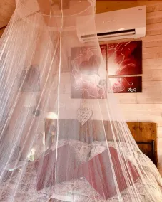 A sweet week in a tree house in Provence - Image 2