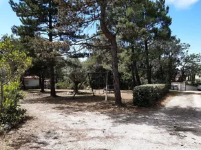 Chalet immerso nella natura a 2,5 km da BEDOIN - Image 3
