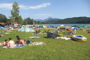 Ferienwohnung am Rosengarten - Image 2