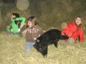 Exquisito apartamento apto para niños con barbacoa y jardín | Admite perro - Image 4