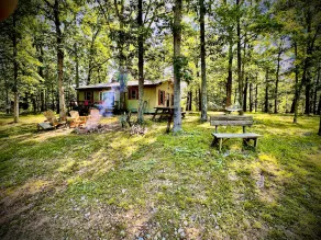Secluded Turkey Ridge Cottage Above The River - Image 5