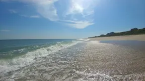 OCEAN VIEWS! Immaculate Quintessential Nantucket Beach Cottage see virtual tour. - Image 5