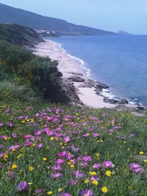 Schöne neue Nichtraucher-Ferienwohnung mit super Meerblick in Nord-Sardinien - Image 5