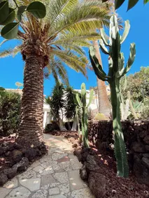 An idyllic oasis in South Tenerife between mountains & sea views - Image 5