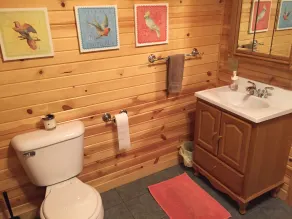 Lodge on Pine Ridge, with private 50 acres - Image 5