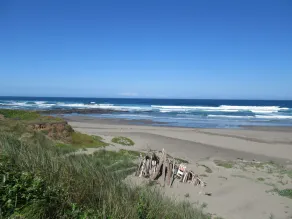 Coastal Country Home in Cleone - walking distance to beach, trails and park - Image 3