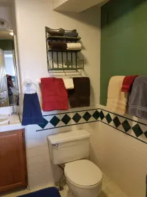 Alpine House: 3 Bed, 2 bath - wonderful 'in Ouray' location - Image 3