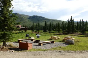 Denali Wildlife Grizzly Cabin Luxury avec une touche de rustique - Image 5
