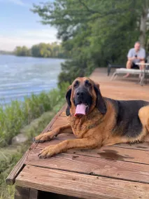 River Rock Lake House, East Texas Sleeps 10 Pet Friendly Upscale Luxury - Image 3