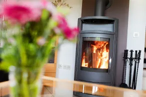 4-star* feel-good house with sauna, fireplace and fully fenced North Sea garden - Image 3