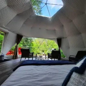 Site #8 | Terra Dome - Image 5