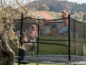 Arnika - Sunnhof (3 flores) - Krempler - Image 2