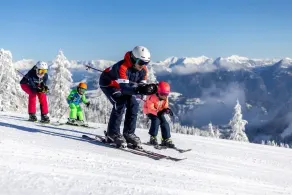 Luxury Chalet Mauthner Alm - Image 2