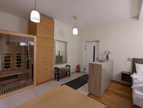 Studio near Graz with sauna - Image 4