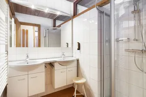 Waterfront Apartments Zell am See - Steinbock Lodges - Image 2