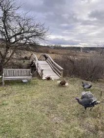 Charming Country Farm Stay with Spectacular Views and Fun! - Image 5