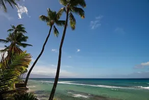 Watch Sea Turtles from this Ocean Front Lanai. Affordable in Paradise! - Image 4