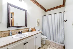 \"Bayou Fever\" a Cajun Bayou Paradise -Sleeps 12 - Image 5