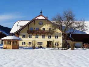 Organic Farm Vordergschwandtgut - Lejlighed - Image 5