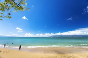 Kahana Villa F406 - Image 3
