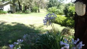 Clonmel Cottage Canyonleigh - Image 4