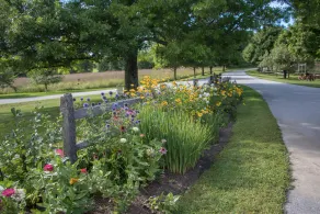 Renovated 2 BR/1BA guest house on private 18-acre property - Image 4