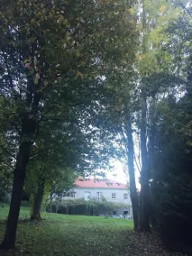 Casa da Arosa Turismo rurale - Image 5