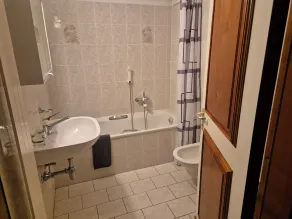 Executive Huge Flat in Central Lugano - Image 4