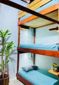 Palapa amaizing - Image 2