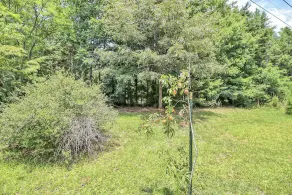 Casa Ella – Near Kings Mountain Park – Sleeps 6 - Image 3
