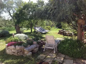 B & B The Owl. Trulli and Nature. Trullo The Lemon - Image 4