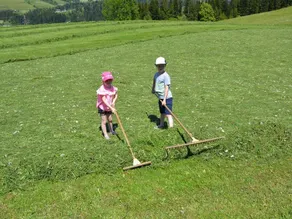 Unterwoetzlhof - Lägenhet / 2 sovrum / dusch, WC Nr. 1 - Image 4