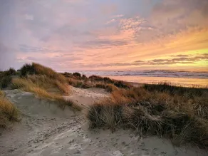 Lovely beach getaway in Manzanita/Nehalem - Image 5