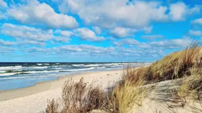 Apartment Hühnergott - Kölp - forest and sea(h)r - Image 5
