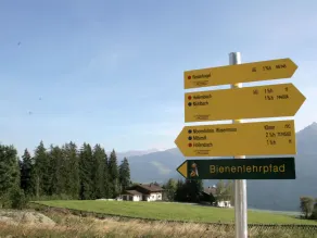 Apartment in Mittersill near Ski Bus & Slopes - Image 3