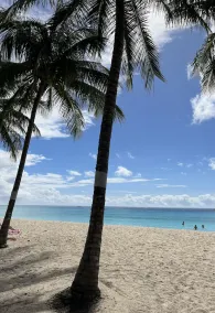 Stunning 3 bedroom townhouse, 5 minute walk to Dover Beach and The Gap. - Image 5