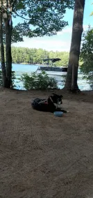 WATERFRONT DOG FRIENDLY 3 BR 2 BATH YEAR ROUND HOME - Image 3