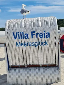 Sea view in the 1st row Villa Freia Apartment Meeresglück with beach chair - Image 5