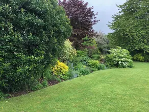 Pet friendly 'Home from Home in the Wye Valley Wales - Image 3