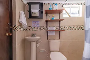 Casa de las Dos Palmas - Image 3