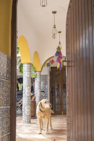 Maison Darna Guesthouse - Image 2