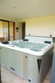 Komfortabelt sommerhus med swimmingpool og privat jacuzzi ikke overset omgivet af dyr - Image 3