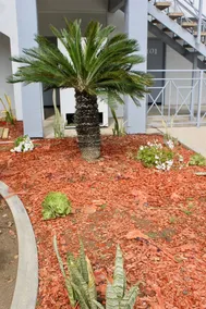 Crescent Inn - Image 2