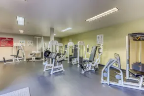 Walkable downtown suite, har delat gym, pool och bubbelpool! - Image 3