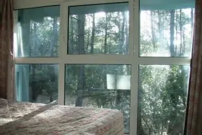 PROMO - Villa in the pine forest - Image 4