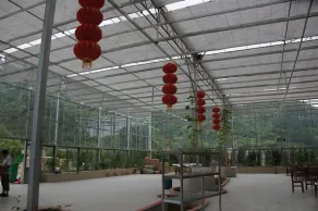 Southeastern Flying Tiger Manor - Image 3