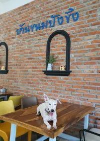 Ginger Bread House - Pet Lover Resort - Image 2